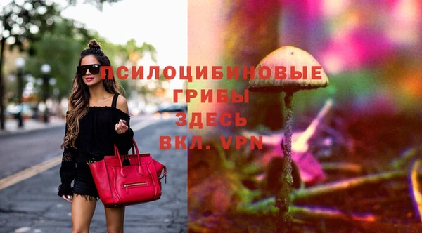 дурь Волосово