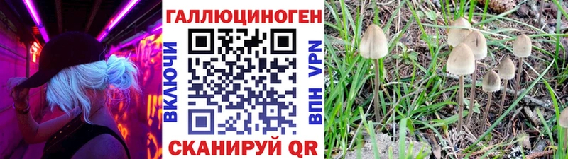 Купить закладки  Советский  Псилоцибиновые грибы Psilocybe 