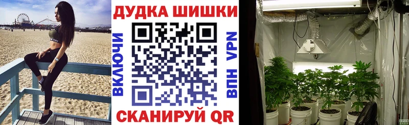 Каннабис White Widow  Купить  Советский 